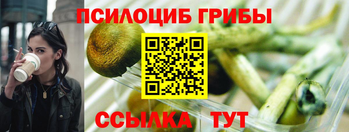 Галлюциногенные грибы мухоморы Родники